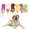 A variety of colorful squeaky plush chew toys for dogs and cats arranged in a line, with a golden retriever dog looking at th