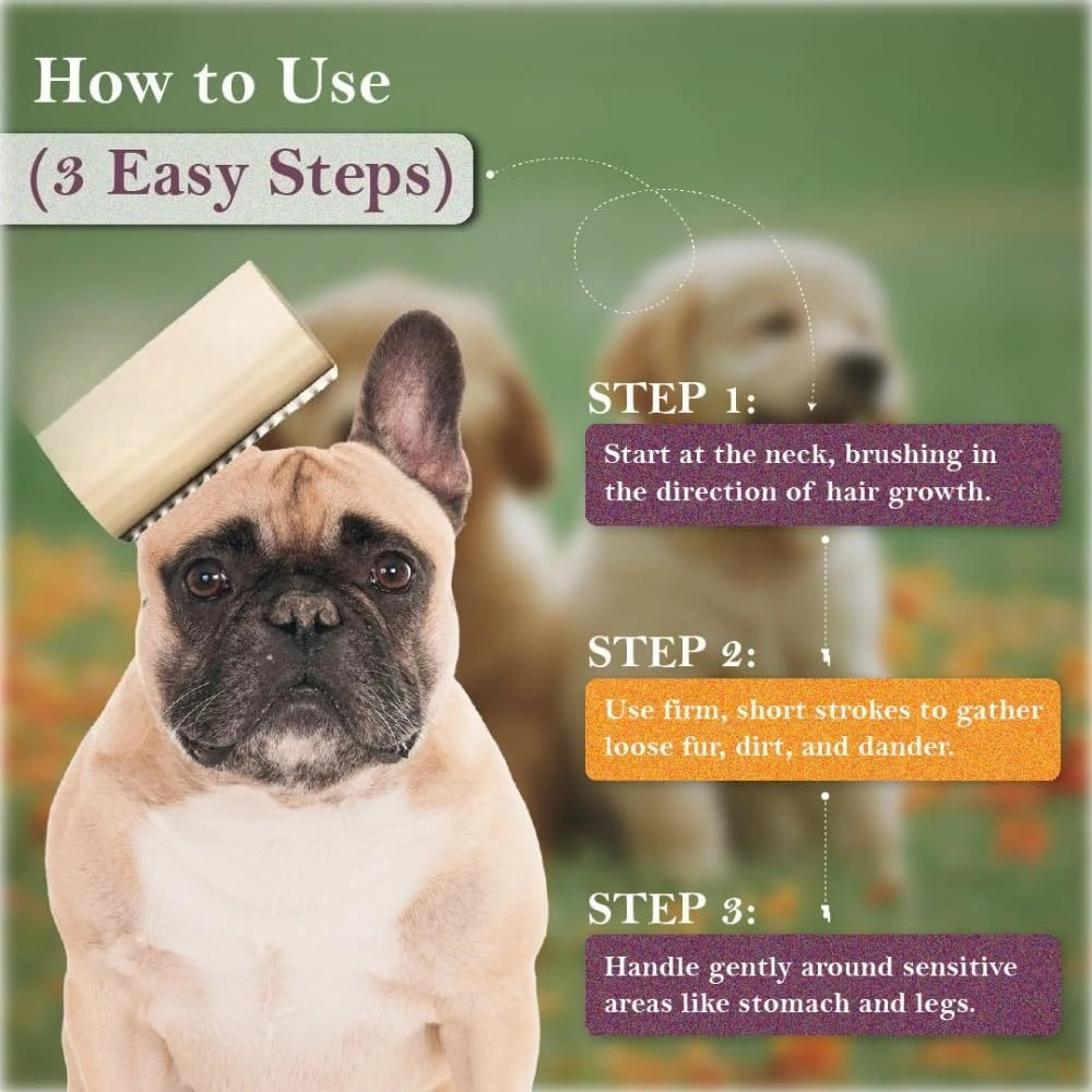Instructions pour utiliser un set de brosse de démêlage et de toilettage pour chien.