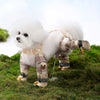 A fluffy white dog wearing beige reflective strolling pants in a grassy outdoor setting.