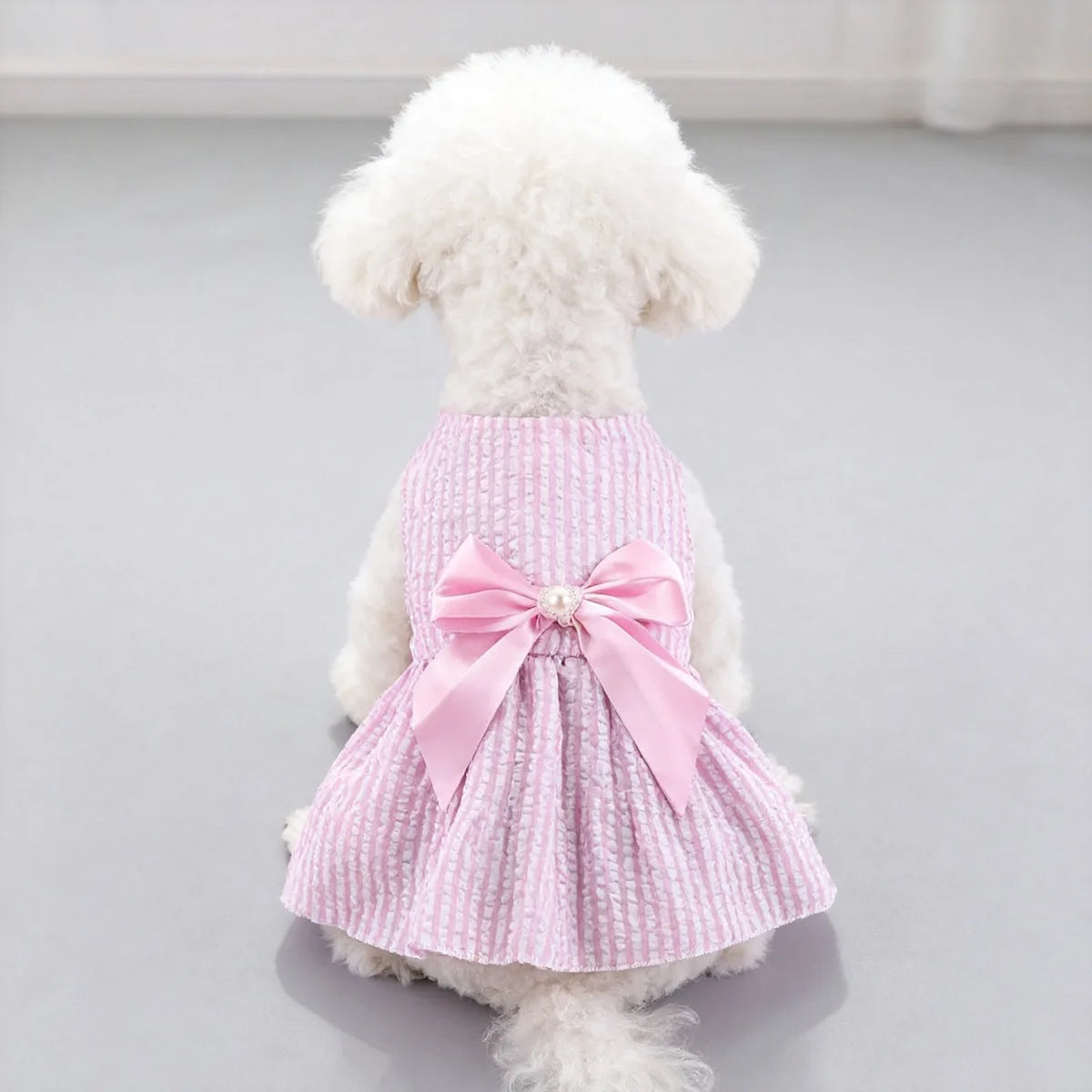 Ein weißer Pudel trägt ein rosa gestreiftes Sommerkleid mit Schleife.