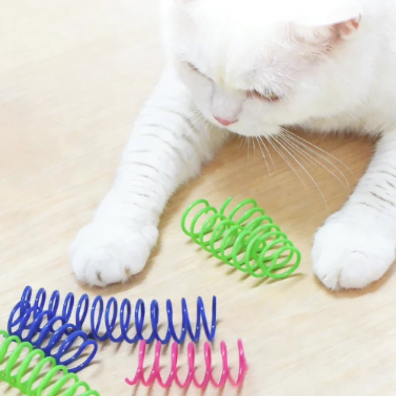 Eine weiße Katzenpfote ruht neben mehreren farbenfrohen Spiralspielzeugen in grün, blau und pink.