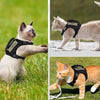 A light gray cat wearing a black mesh harness with an 'I'm Special' tag in a grassy outdoor setting.