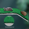 Un petit tortue est montré sur une plateforme d'herbe verte et épaissie pour un habitat de reptiles.