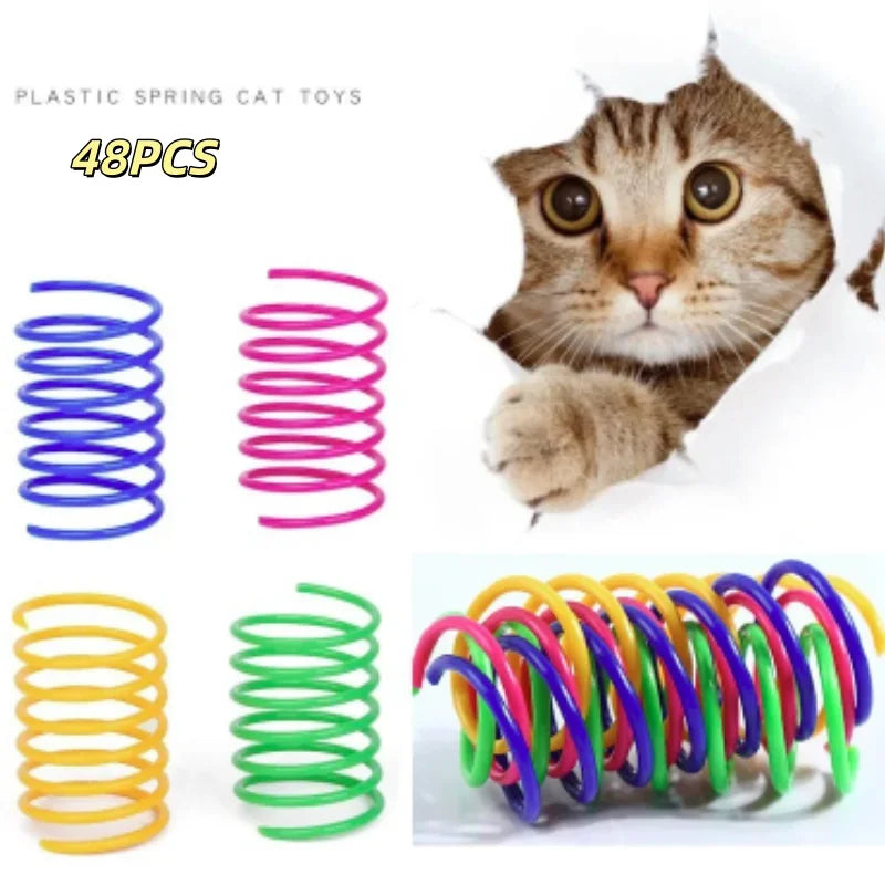 Eine tabbykatz spielt mit verschiedenen Plastikfederspielzeugen, darunter blaue, rosa und gelbe Spiralringe.