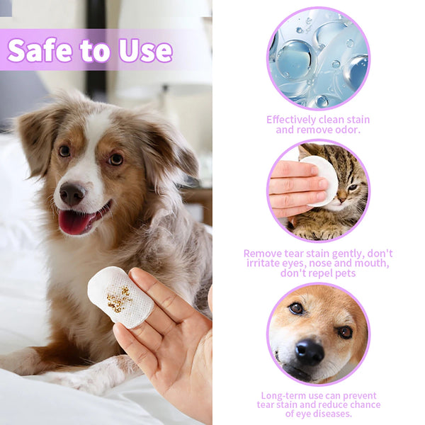 A dog looks at a hand holding a white wipe, demonstrating the safe use of gentle pet eye wipes for dogs and cats.