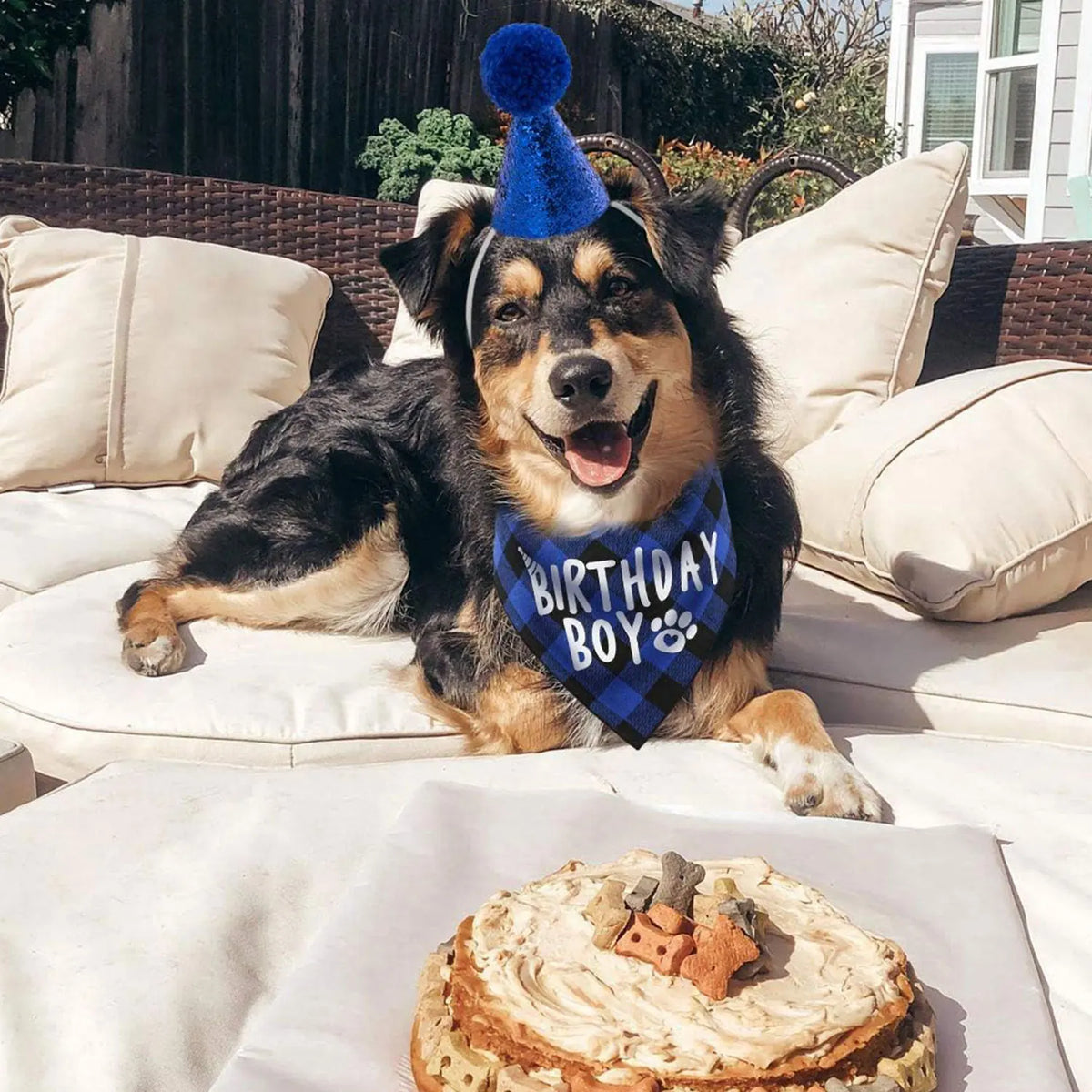 Un chien joyeux portant un chapeau de fête bleu et un bandana d'anniversaire, assis sur des coussins extérieurs avec un gâtea