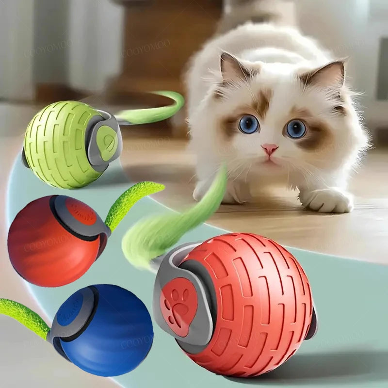 A fluffy white cat sits next to several colorful, textured electric cat ball toys.