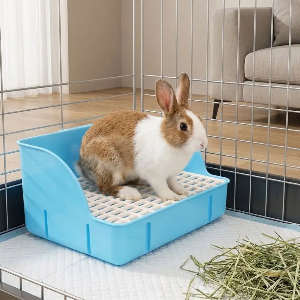 Un conejo marrón y blanco está sentado dentro de una caja de arena azul a rejilla sobre un suelo de madera.