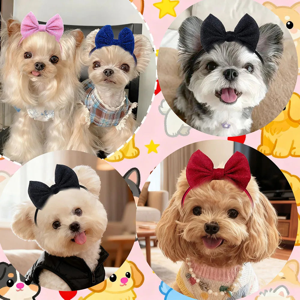 A collection of 30 handmade dog hair bow sets featuring various colors and styles on small dogs.