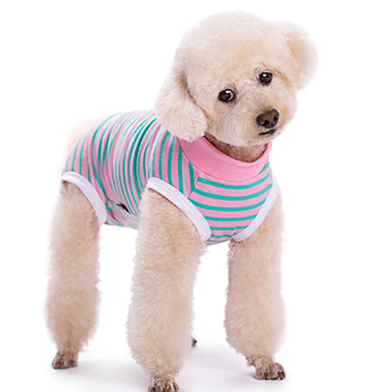 A light golden poodle wearing a striped pink and green cotton recovery suit.