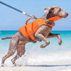 A dog wearing an orange life jacket jumps in the ocean water near a sandy beach.