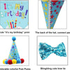 A set of pet birthday outfits featuring a blue shirt with 'It's My Birthday!' print, a conical hat, colorful pom-poms, and a 