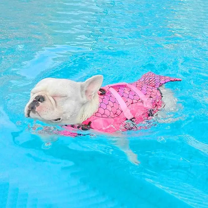 Ein helles Hund schwimmt in blauem Wasser und trägt eine rosa Meerjungfrauen-Schwimmweste.