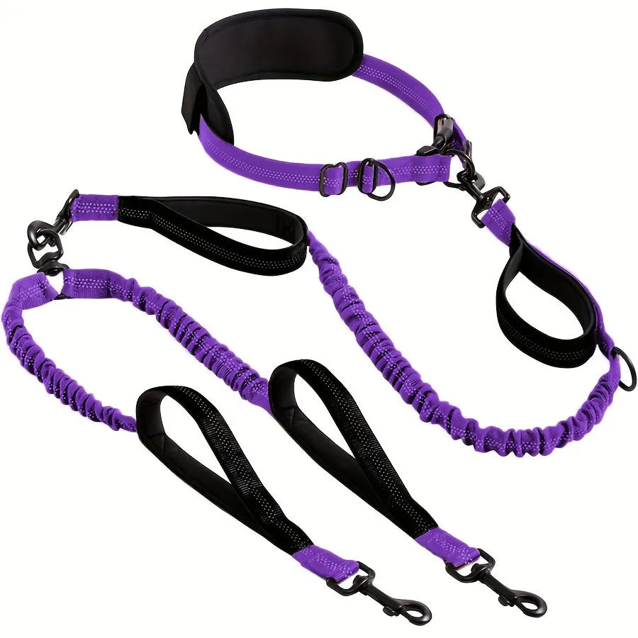 A hands-free double dog leash for two dogs featuring purple and black padded handles.