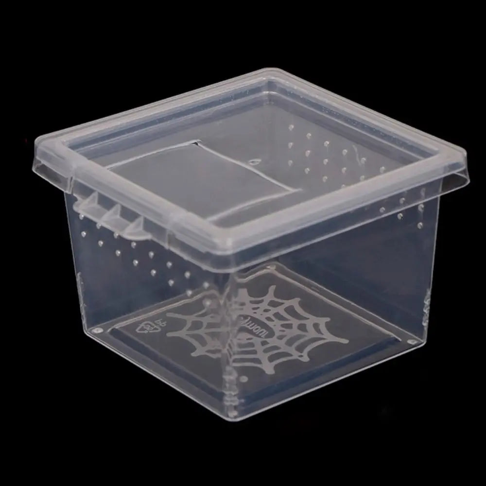 Clear plastic reptile habitat box with ventilation holes and a decorative spiderweb design