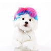 Ein weißer Pudel mit leuchtend pinken und blauen Haaren, der eine Cosplay-Haube trägt.