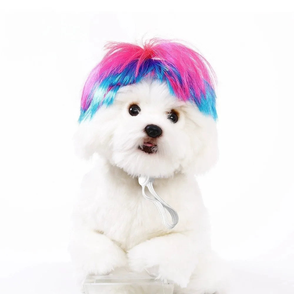 Ein weißer Pudel mit leuchtend pinken und blauen Haaren, der eine Cosplay-Haube trägt.