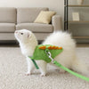 A white pet is wearing a green vest harness with an orange collar and leash on a light carpet.