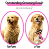Vorher-Nachher-Vergleich: Hundehaarkur vor und nach Verwendung des All-in-One Deshedding-Grooming-Kämms