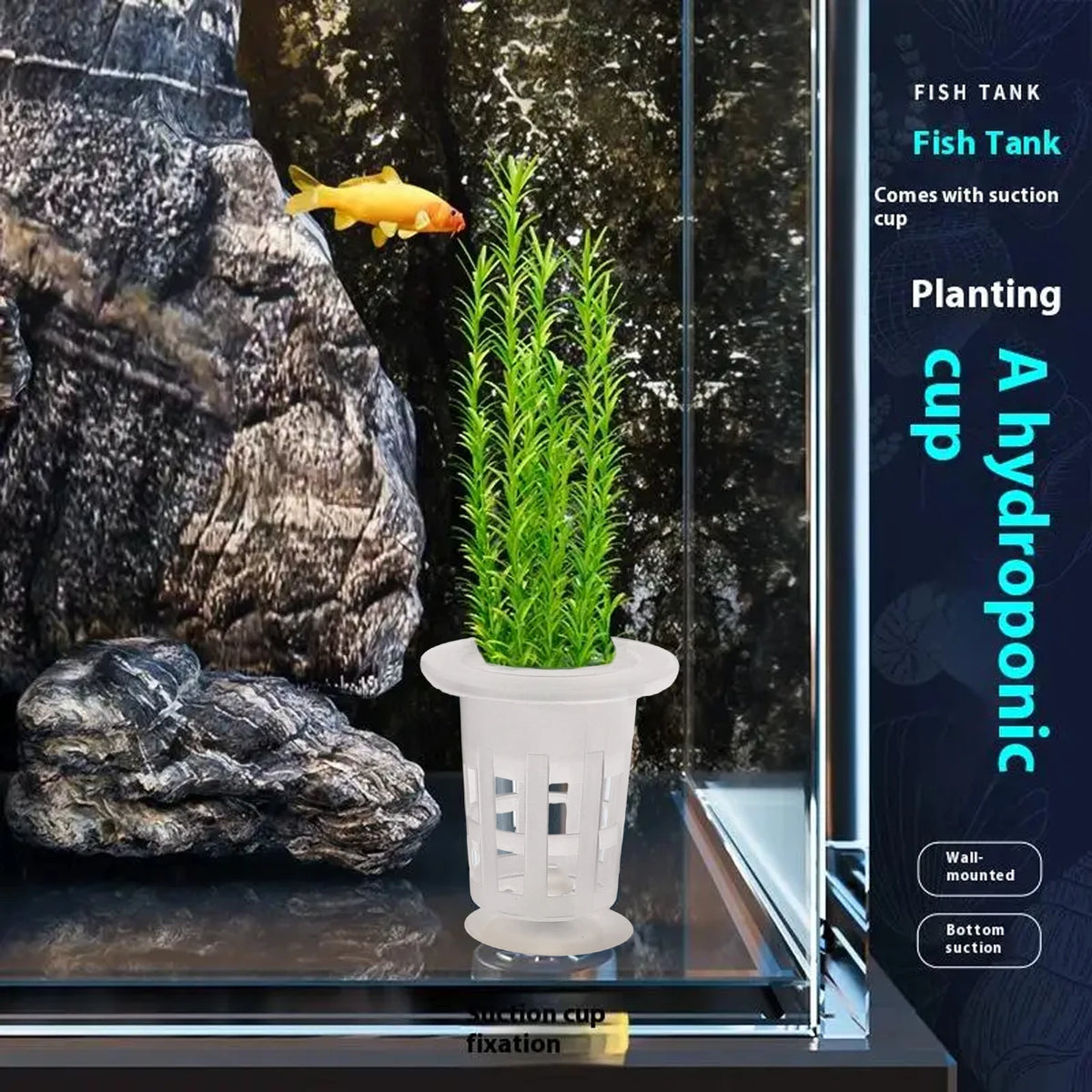 A clear plastic hydroponic planting cup with green plants inside, displayed in a glass aquarium tank.