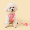 A fluffy white dog wearing a pink butterfly pet harness set.
