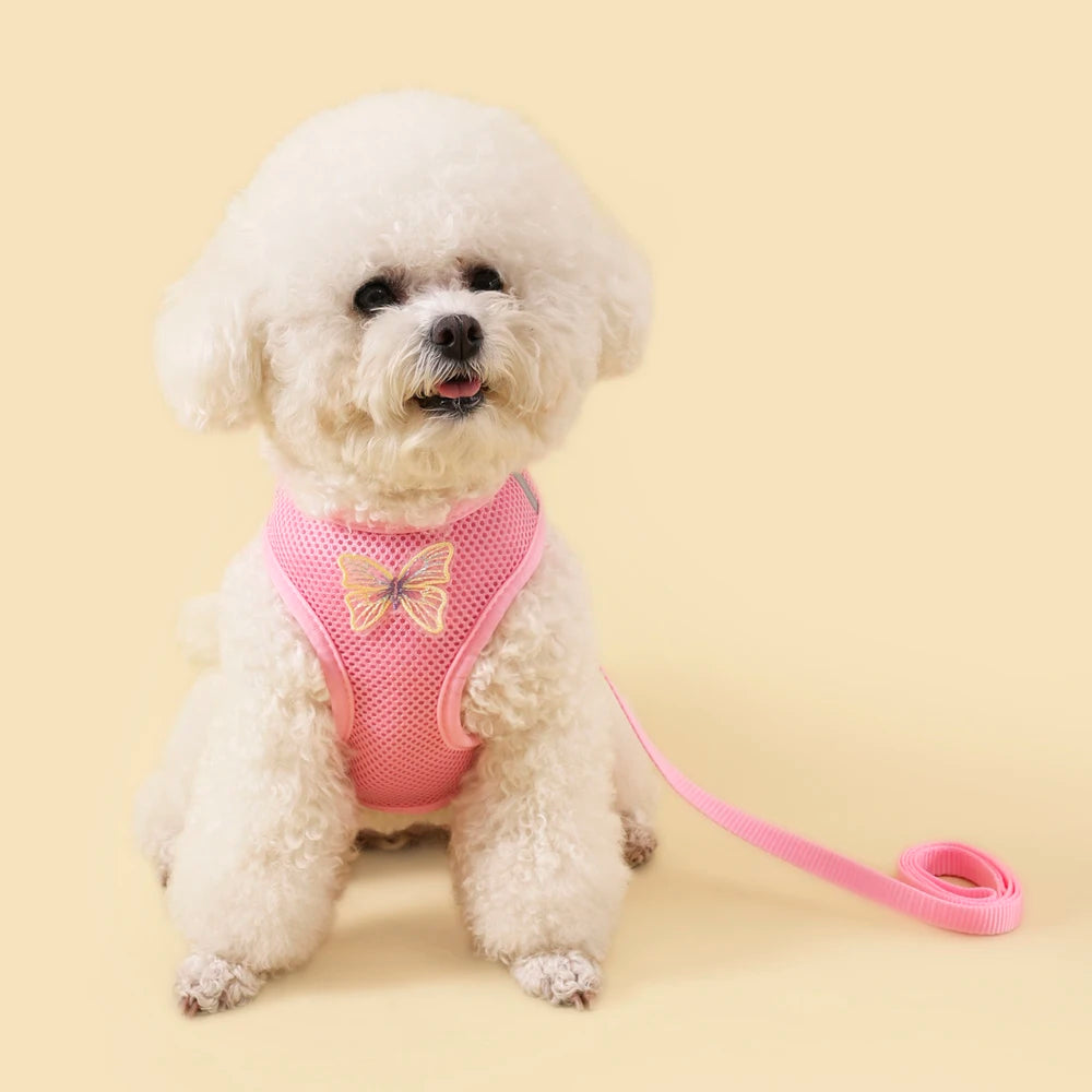 A fluffy white dog wearing a pink butterfly pet harness set.