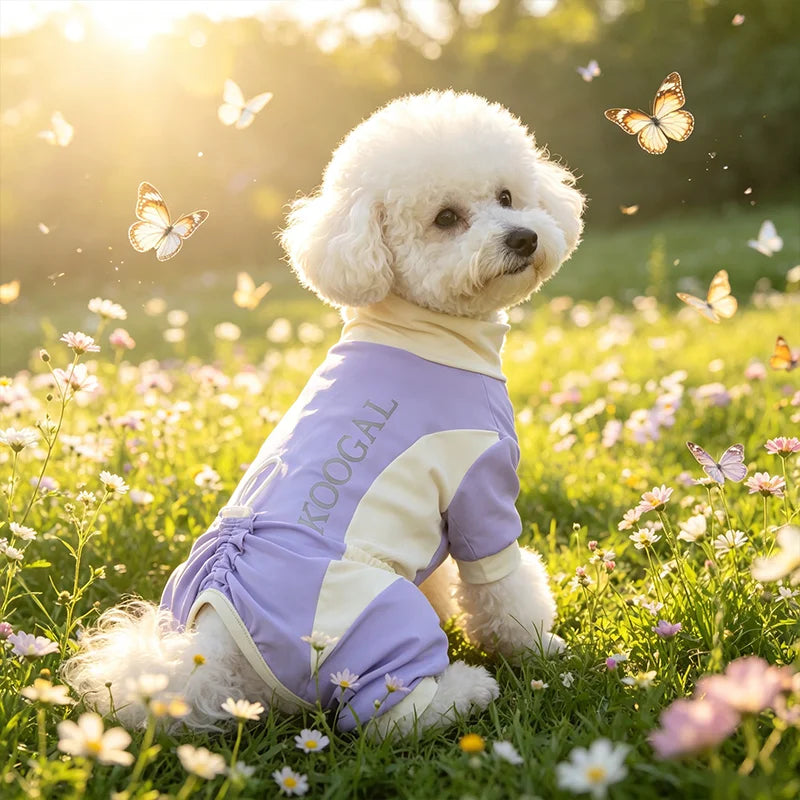 A fluffy white dog wearing a purple and yellow summer cooling suit lies in a sunny, grassy field with butterflies flying arou