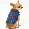 A small, light brown dog wearing a denim pet jacket decorated with red strawberries.