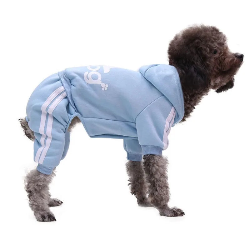 Ein kleiner, dunkel gefärbter Hund trägt einen hellblauen Anzugmantel mit rosa Streifen.