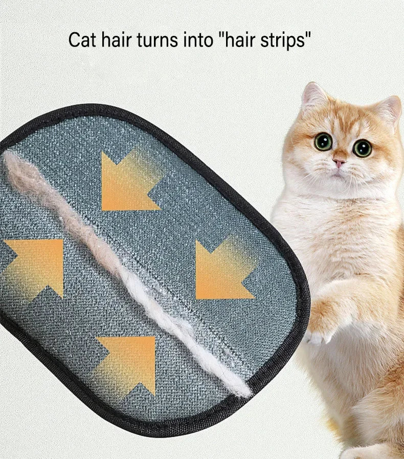 A fluffy orange cat is shown next to a dark gray pet hair removal pad that has cat hair stuck in it.