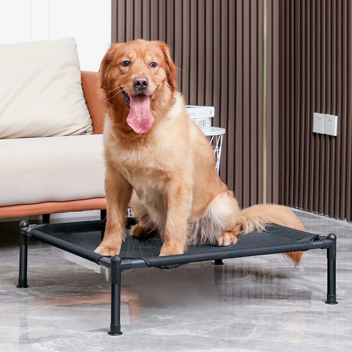 A golden retriever sits on a black portable folding pet bed with a removable cover.