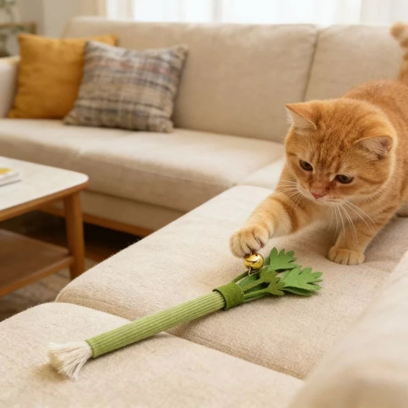 An orange tabby cat plays with a green catnip molar stick toy on a beige sofa.
