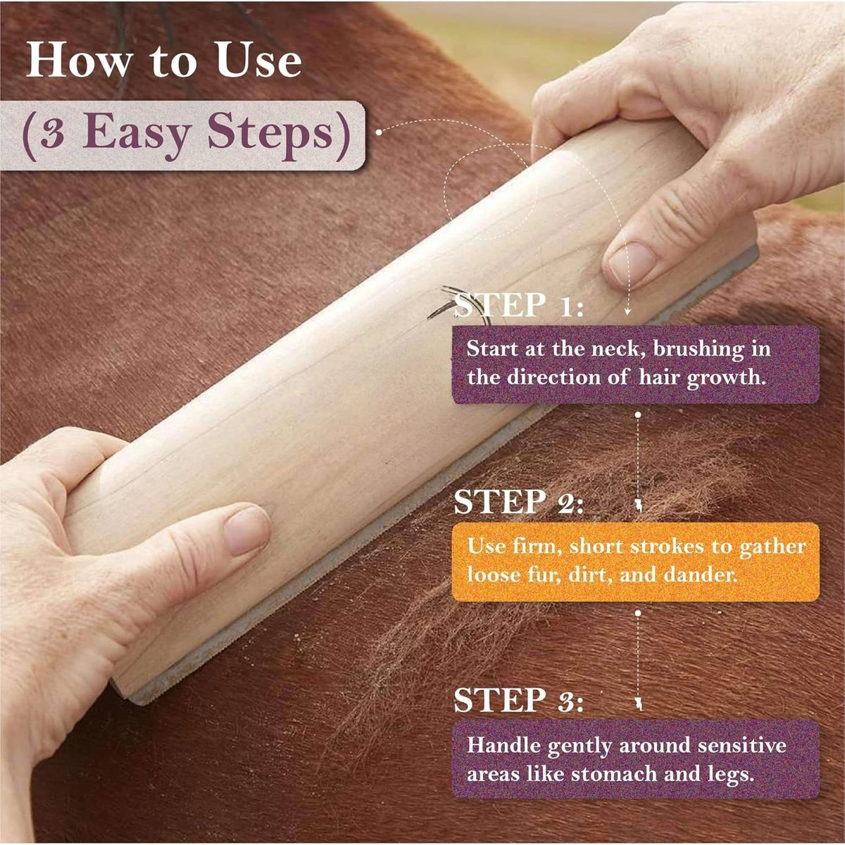 Une main montre comment utiliser un kit de brosse à déshabang en bois sur le pelage d'un cheval.