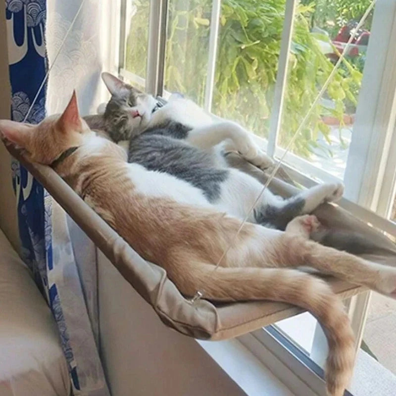 Ein orange-weißer Kater entspannt sich in einem Fensterhängeschaukel und blickt auf die Grünpflanzen.