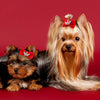 A fluffy golden-colored dog with long hair is shown next to a smaller brown and black dog, both wearing red glitter hair clip