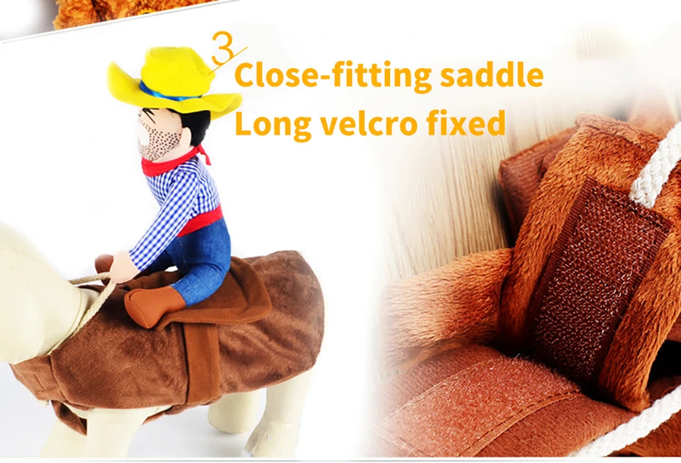 A dog wearing a cowboy costume jacket with a close-fitting saddle and long velcro fix.