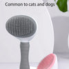 A gray pet hair removal brush with massage pins is shown next to a pink version on a white surface.