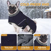 Dunkelblaue Hundefleece-Winterjacke mit Kragendesign bei einem Hund im Schnee.