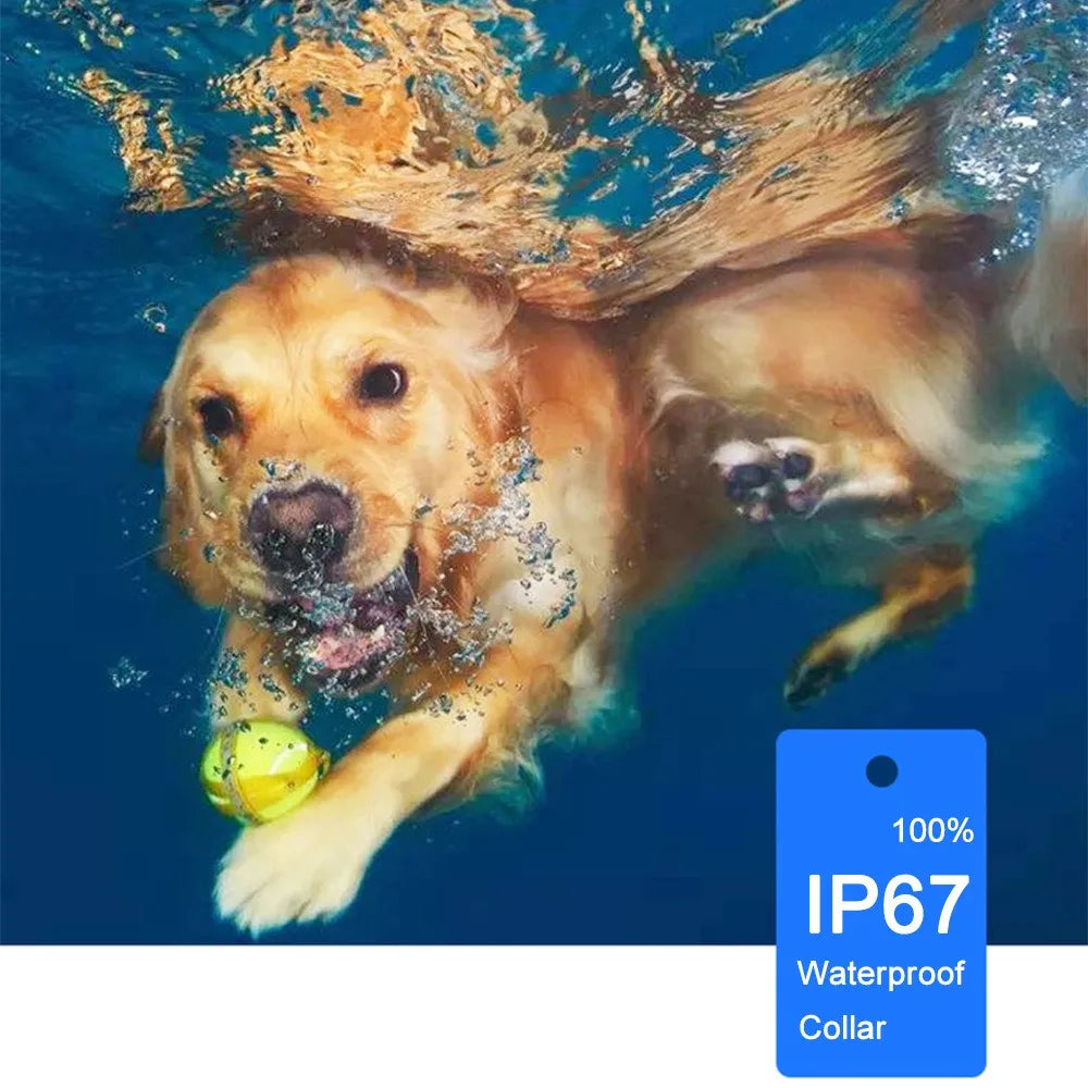A golden retriever swims underwater with a yellow ball near an IP67 waterproof collar.