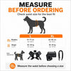 Instructional graphic showing how to measure a dog's waist before ordering a product.