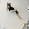 A black cat is resting on a wall-mounted hammock and climbing shelf made of wood.