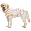 A light-colored Labrador dog wearing a patterned, yellow trim recovery suit.