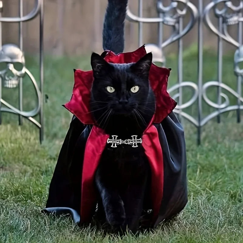 A black cat wearing a red cape and collar costume set sitting on green grass near a metal fence.