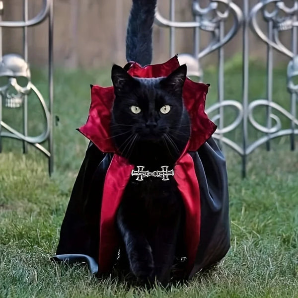 A black cat wearing a red cape and collar costume set sitting on green grass near a metal fence.