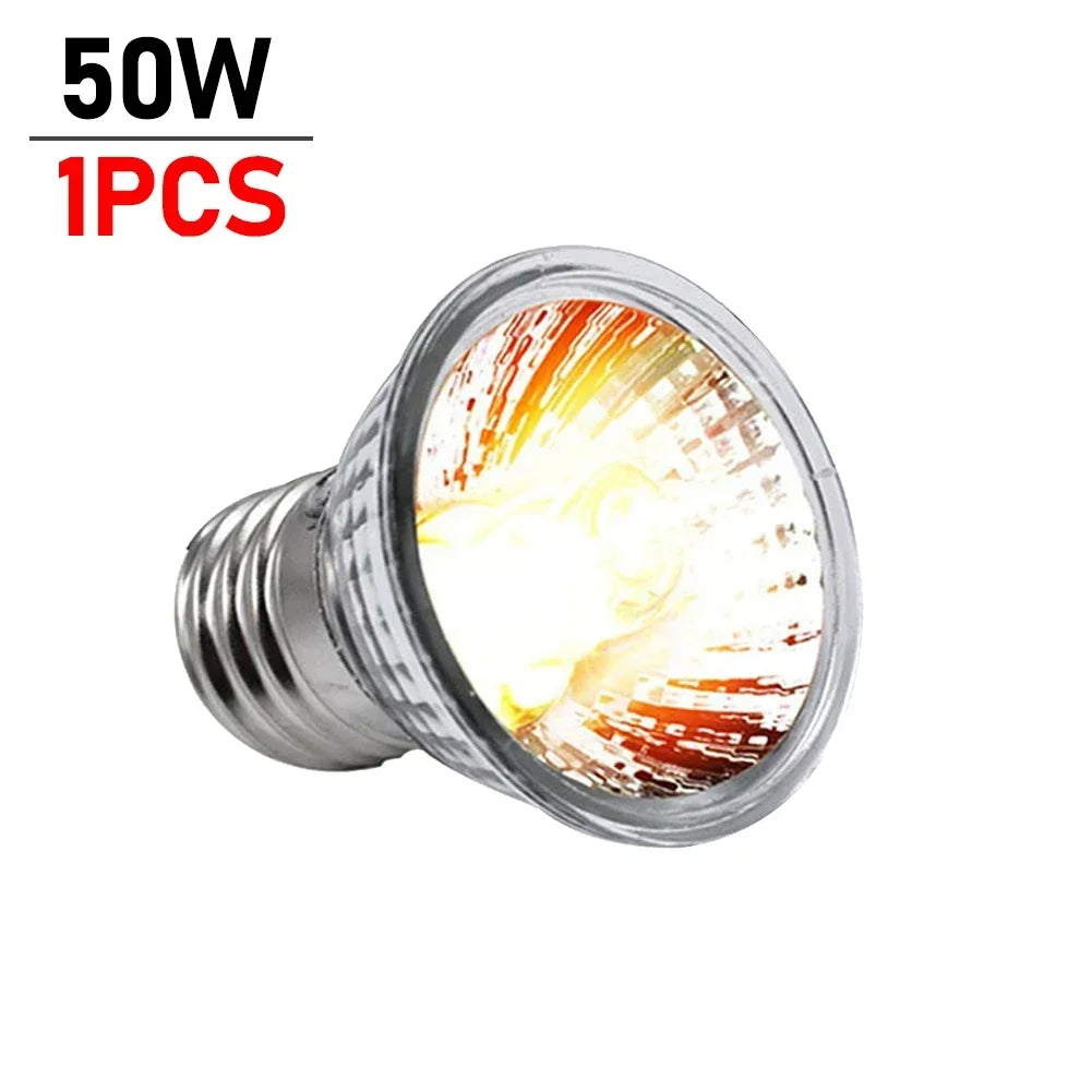 Eine einzelne 50W UVB-Reptilienheizlampe mit silberner Basis und gelbem Leuchtglaß.