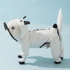 Un cachorro de perro blanco con impermeable para lluvia, visto de cuerpo completo.