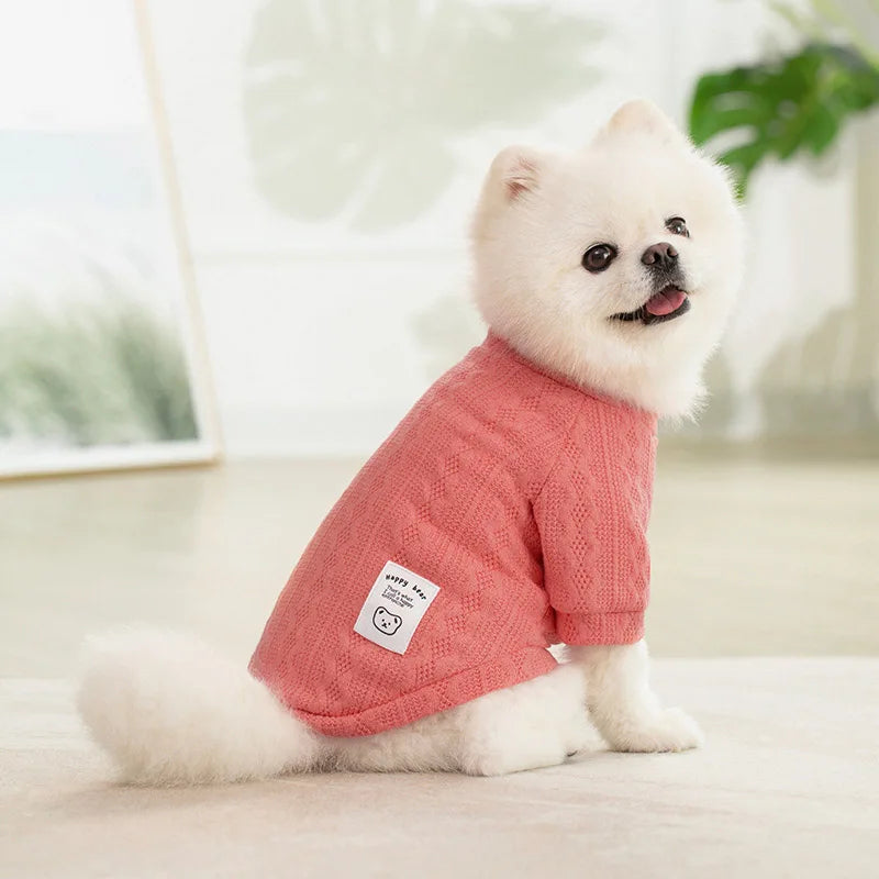 A fluffy white dog wearing a coral pink knitted sweater sitting on a light surface.