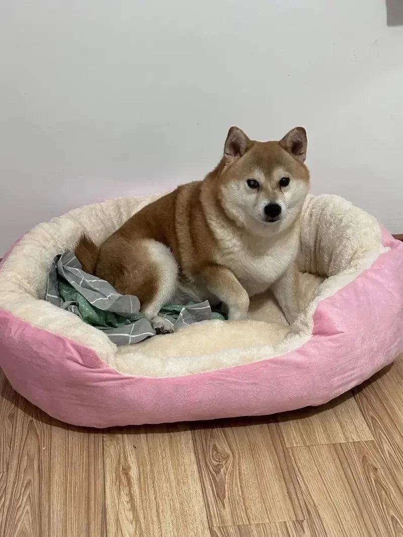 Ein hellbrauner Hund ruht in einem rosa, flauschigen Baumwollhundbett auf einem Holzfußboden.