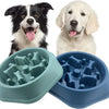 Two dogs and two puzzle-design feeding bowls for slow feeding