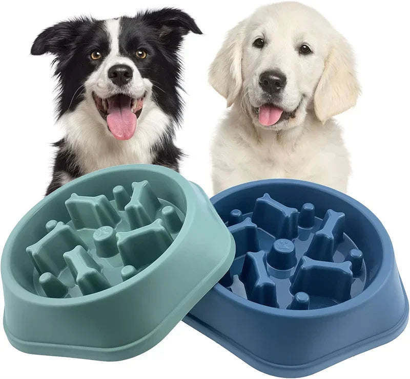 Two dogs and two puzzle-design feeding bowls for slow feeding